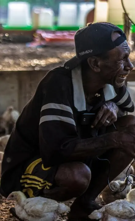 A smiling farmer crouches among chicks under a solar-powered light